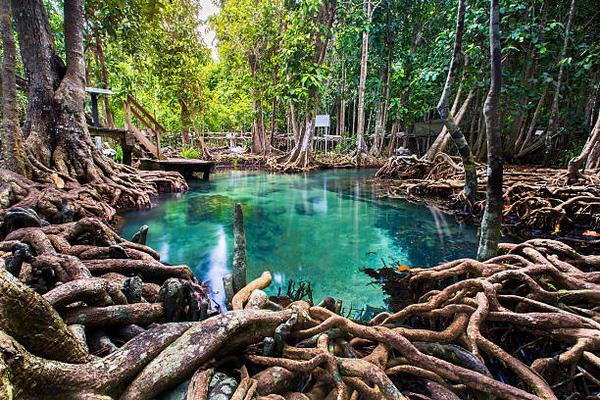  Klong Thom Hot Springs