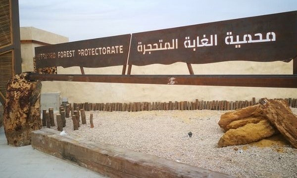 محمية الاشجار المتحجرة