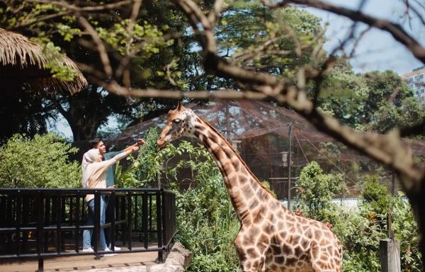حديقة حيوانات باندونق (Bandung Zoo)