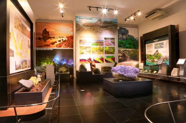 متحف الجيولوجيا (Museum of Geology)