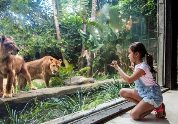 حديقة الحيوانات في بالي - Bali Zoo