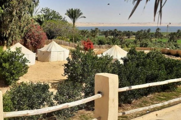 فندق تونس فيلاج