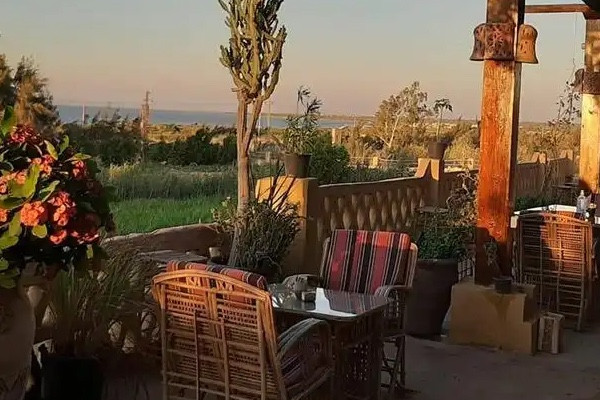 مطعم إيبيس ومدرسة الطبخ