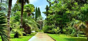 حديقة سوتشي النباتية