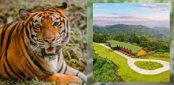 Cebu Safari and Adventure Park