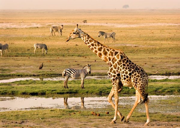 Chobe National Park