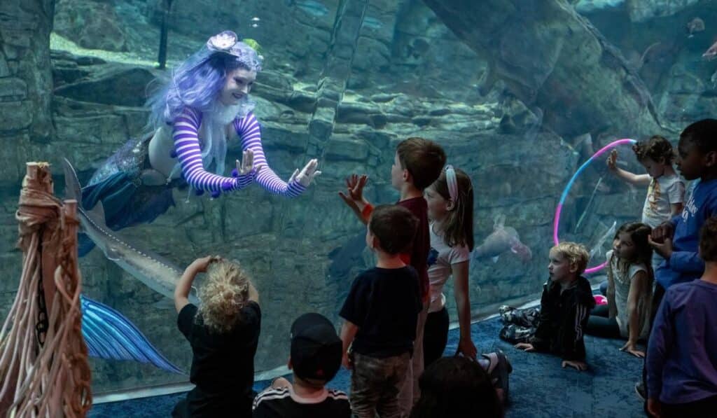 أكواريوم سوتشي أكواريوم سوتشي